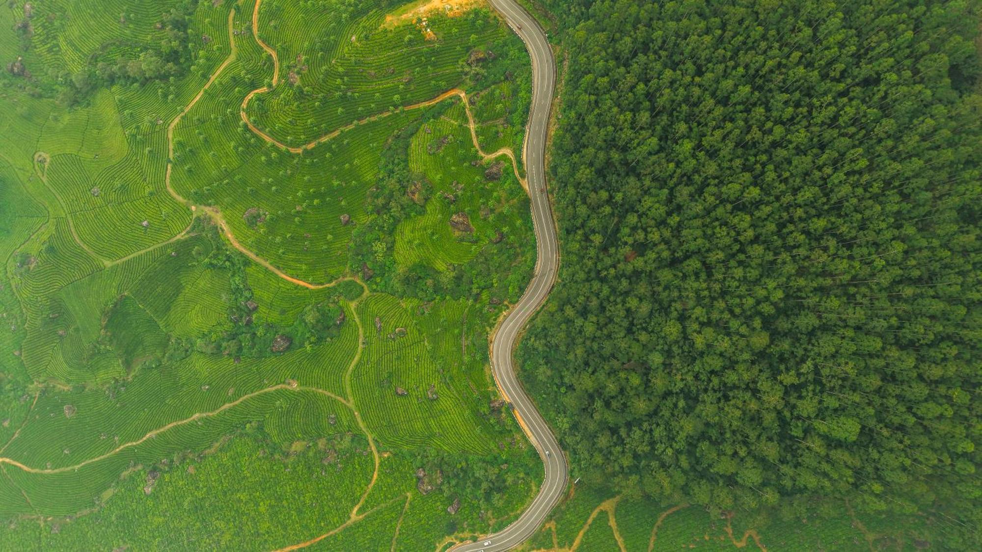 Eastend Munnar Exteriör bild