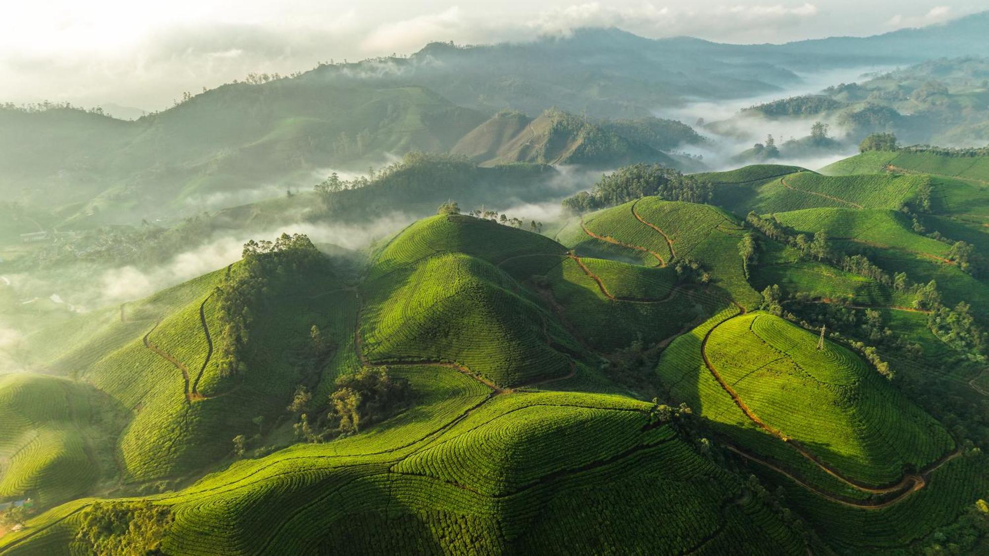 Eastend Munnar Exteriör bild